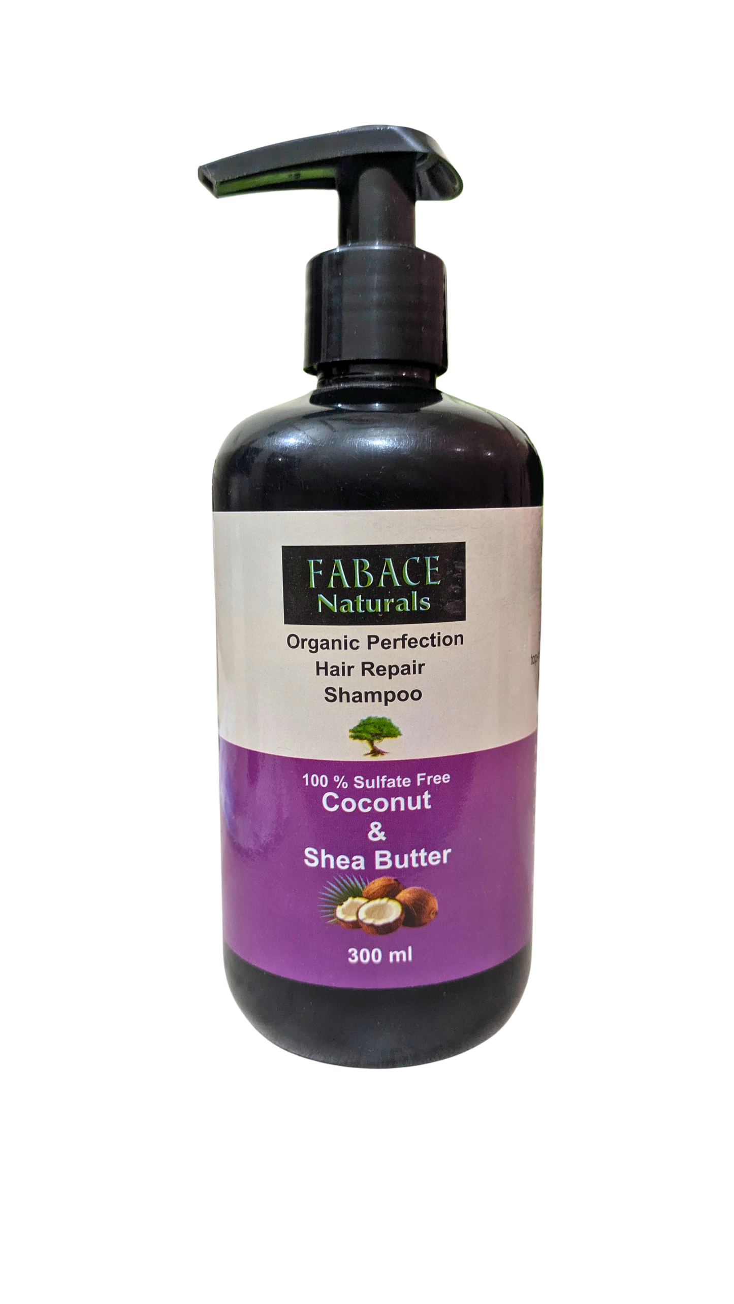 Coconut & Shea Butter Shampoo