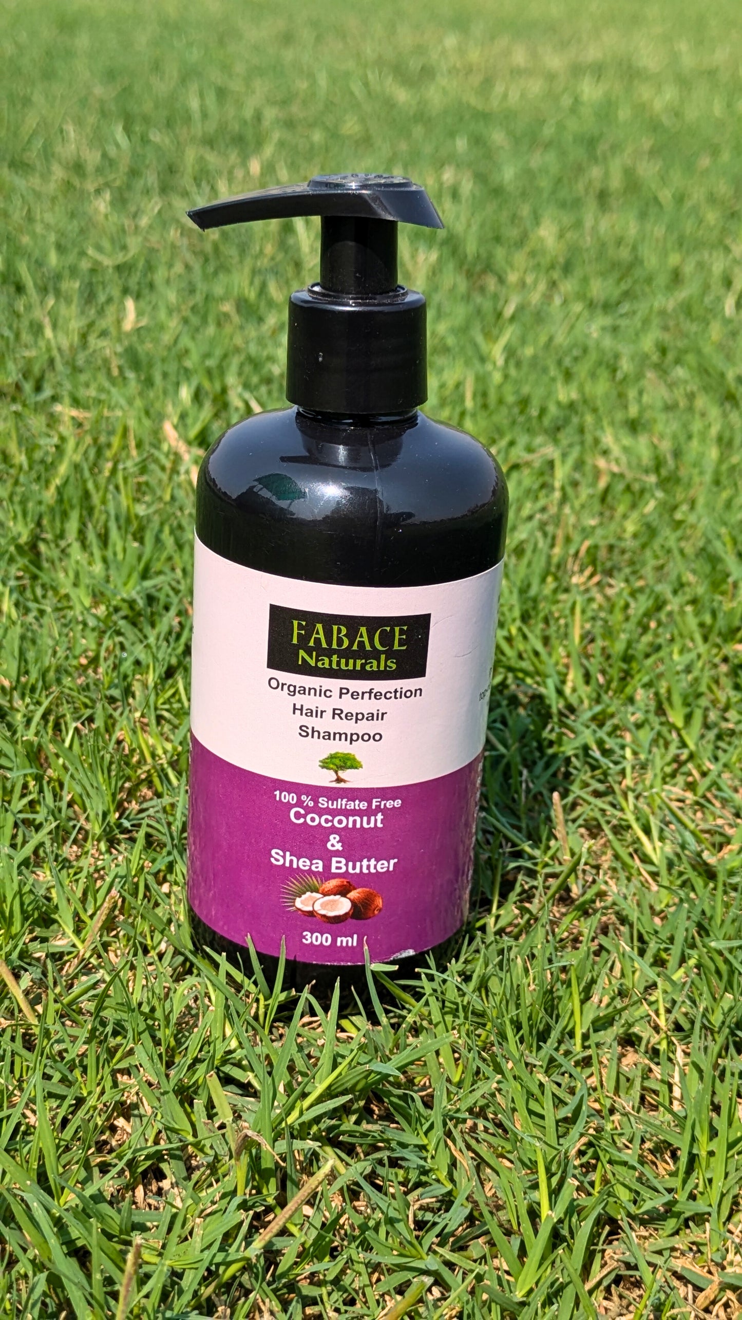 Coconut & Shea Butter Shampoo